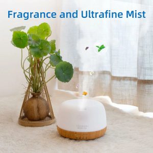 mini300mldiffuser 4 3