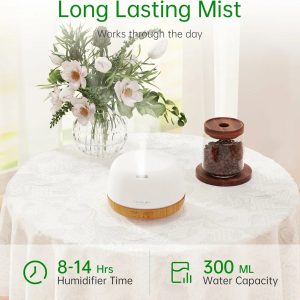 mini300mldiffuser 6 3
